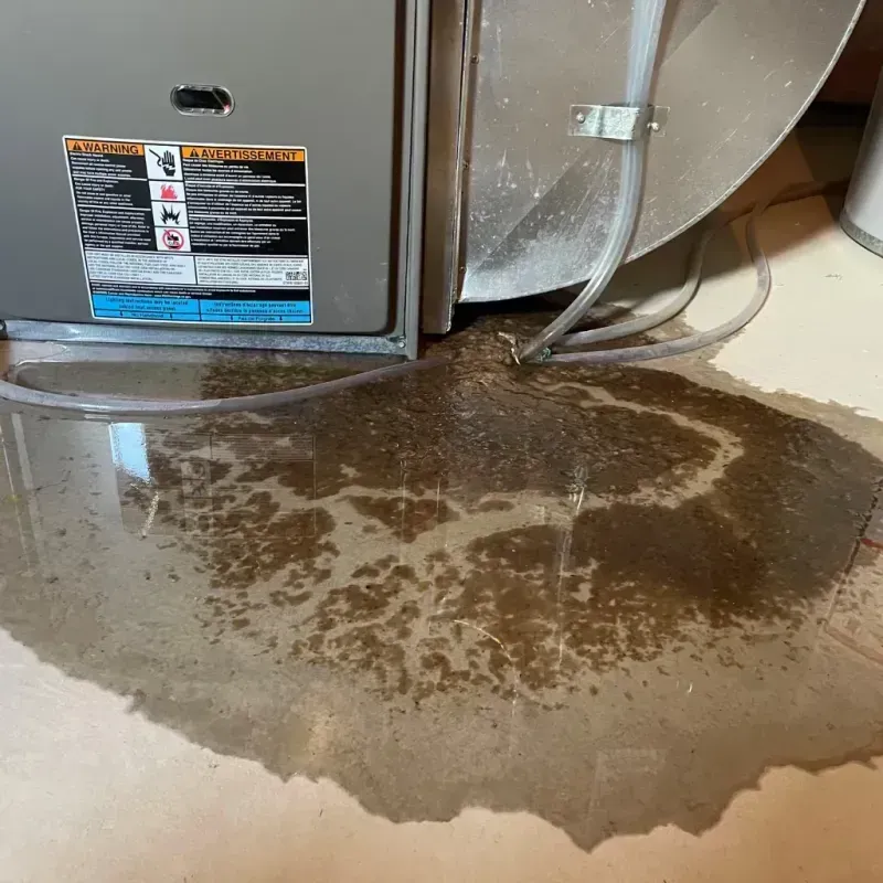 Appliance Leak Cleanup in Yellow Springs, OH